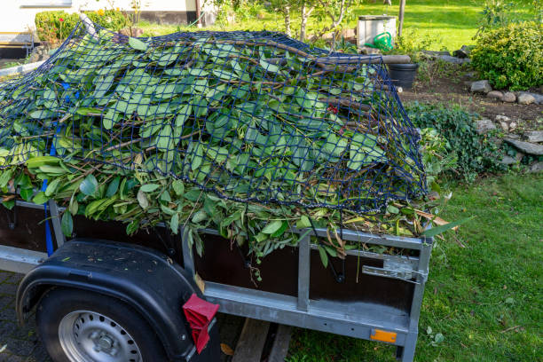 Best Residential Junk Removal  in Minden, NV